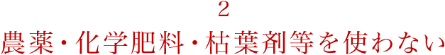 農薬・化学肥料・枯葉剤等を使わない