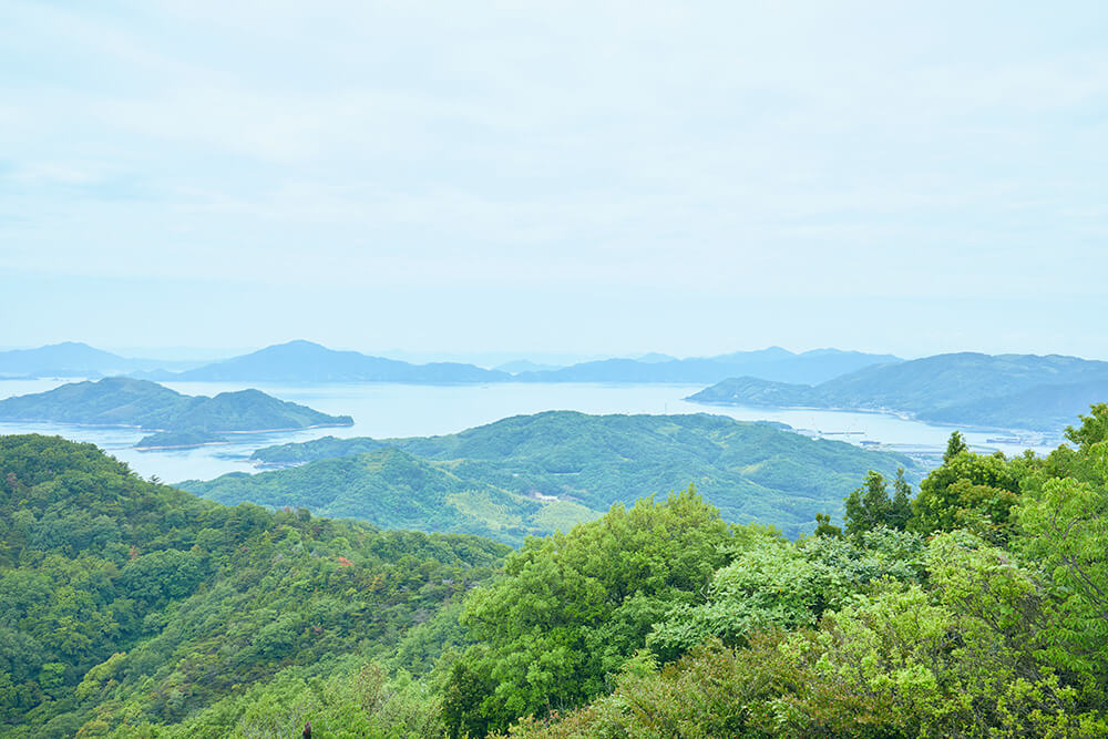 夏季休業のお知らせ