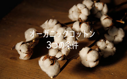 オーガニックコットン３つの条件
