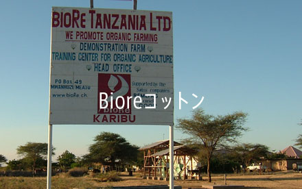 bioReコットン