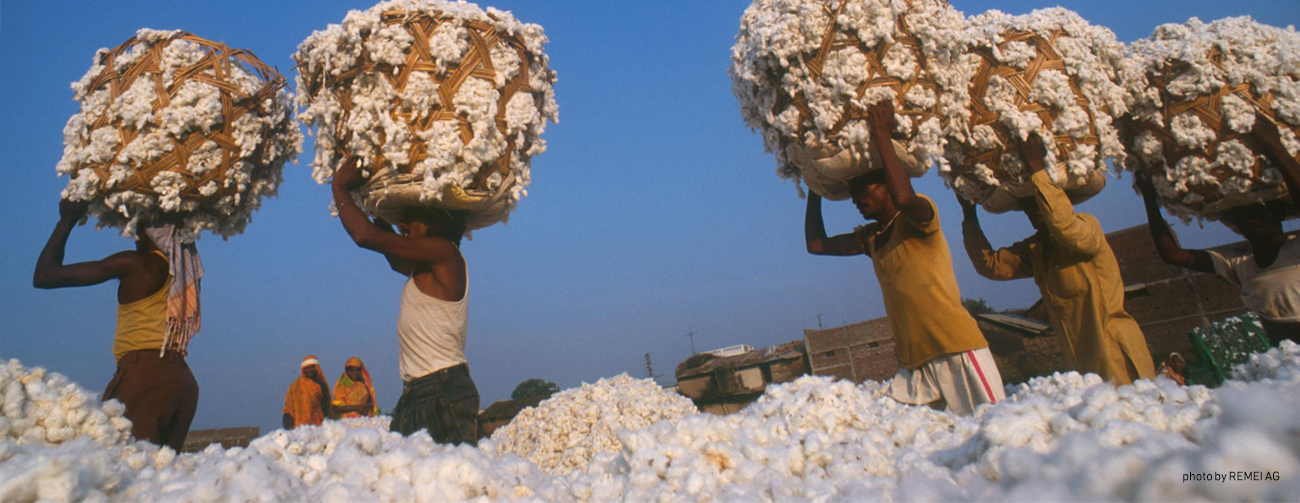 COTTON THAT AIMS FOR COMMUNITY INDEPENDENCE