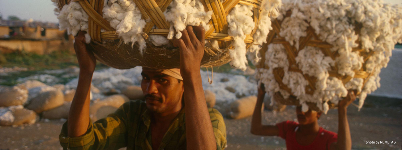 THE FOREFRONT OF ORGANIC COTTON